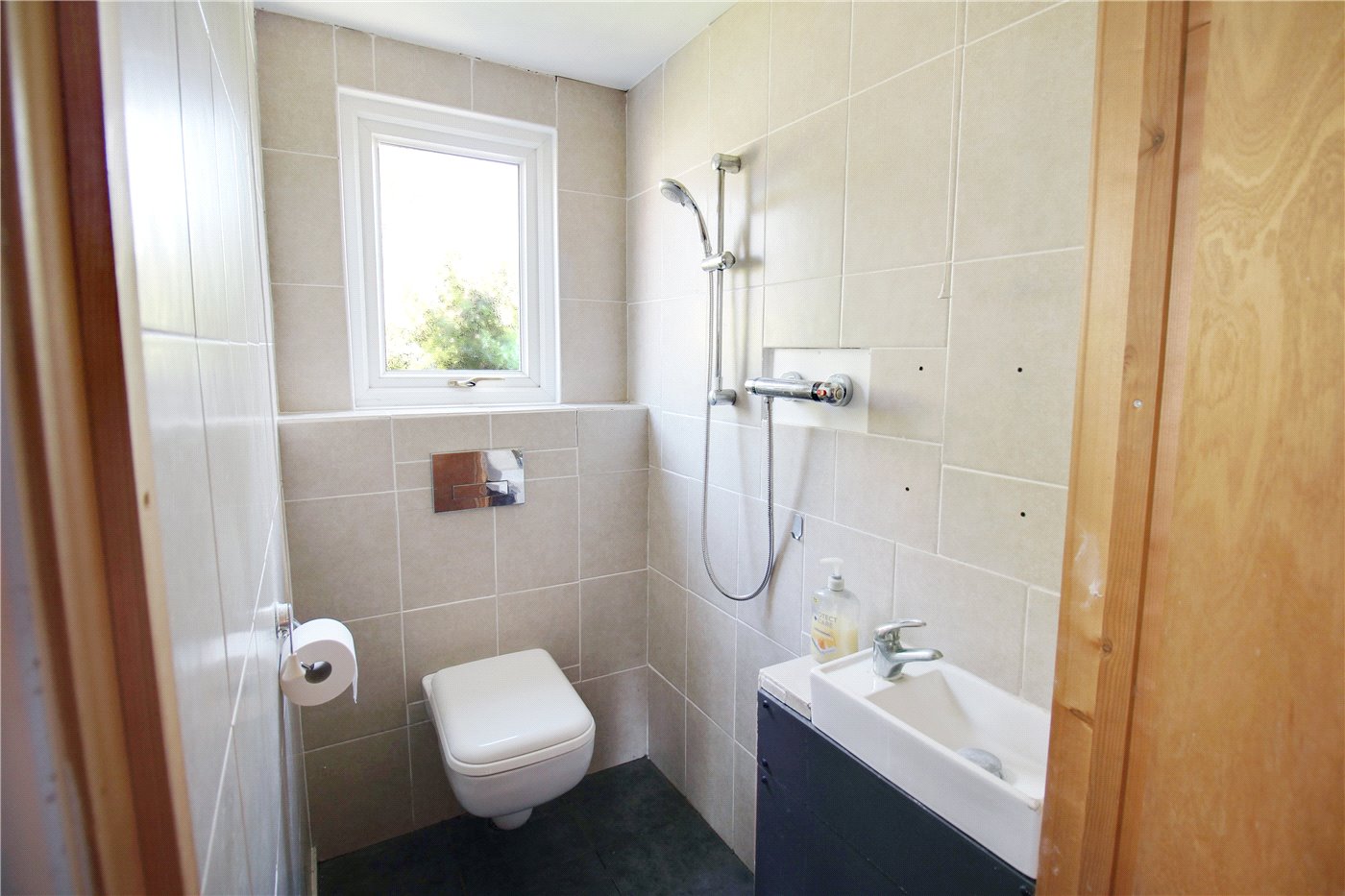 Annnexe Shower Room